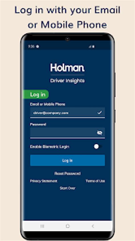 holman insights