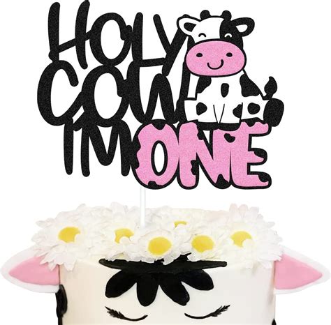 holy cow 1st birthday