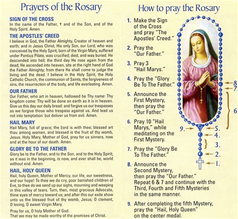 holy rosary sunday with litany