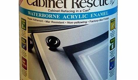 RESCUE 31 oz. Melamine Laminate Finish PaintDT43 The Home Depot