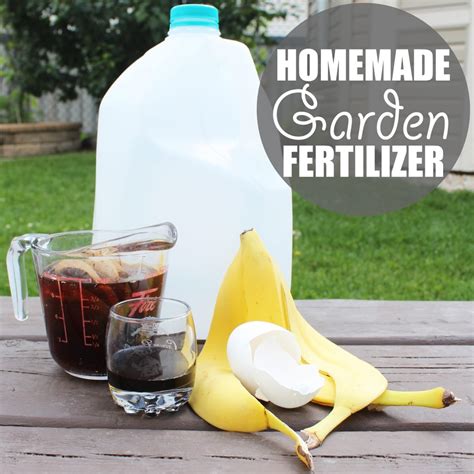 Garden Fertilizer Homemade Garden Fertilizer by Of Houses and Trees