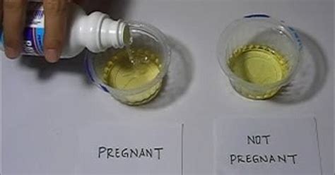 Cooking Oil Pregnancy Test Home Pregnancy Test With