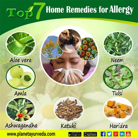 15 Home Remedies for Seasonal Allergies and Hay Fever Symptoms
