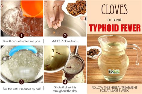 9 Effective Home Remedies For Typhoid Home remedies, Remedies, Food cures
