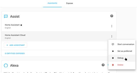 Home Assistant Debug Component