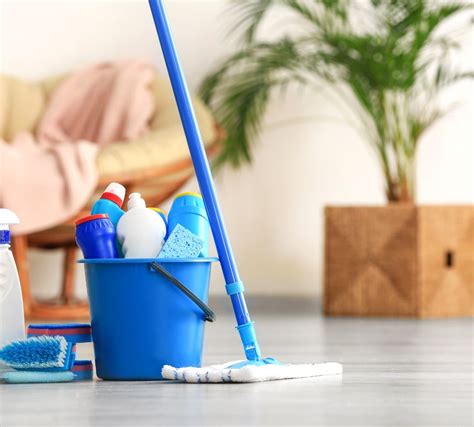 home cleaning services edmonton