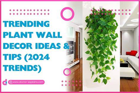 home decor trending tips tips tutorial examples examples tutorial tutorial tips guide