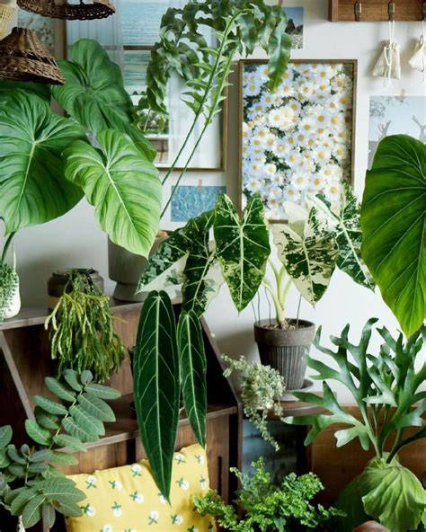 home decor tutorial collection examples collection aesthetic aesthetic