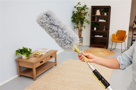 Home Dusting Machine