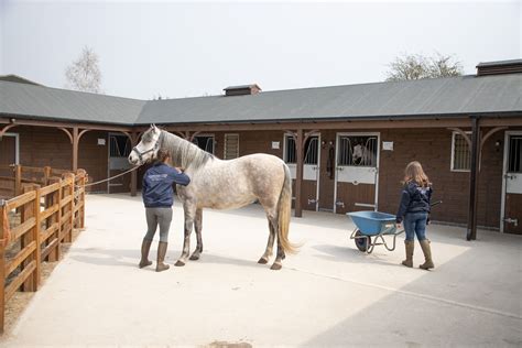 home farm livery stables