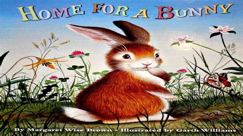 home for a bunny read aloud