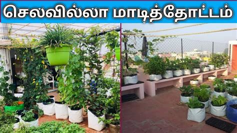 home gardening ideas in tamil