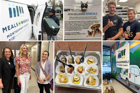 Home Instead Conroe Tx