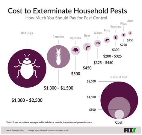 home pest control prices