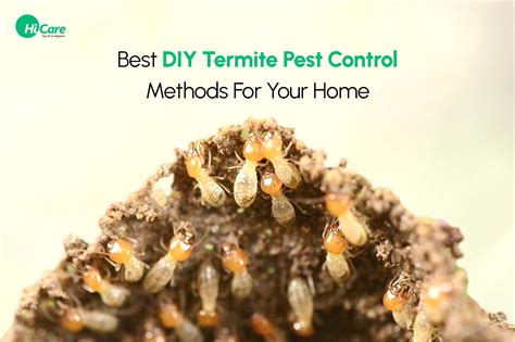 Home Pest Control Termites