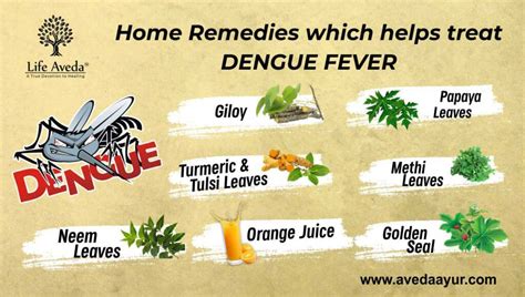 home remedy for dengue