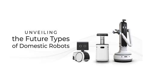 Home Robots Examples