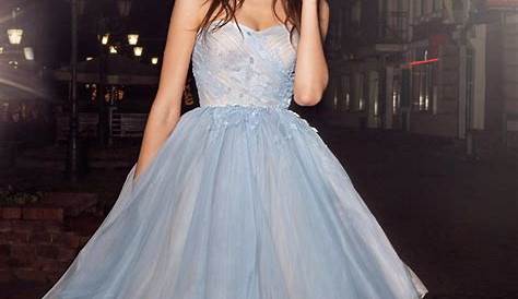 Homecoming Dress Short Tulle Skirt Strapless Pink Gown With Tiered Tea