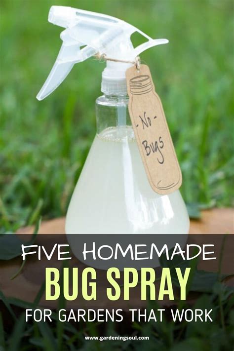 List Of Homemade Insect Repellent For Plants References