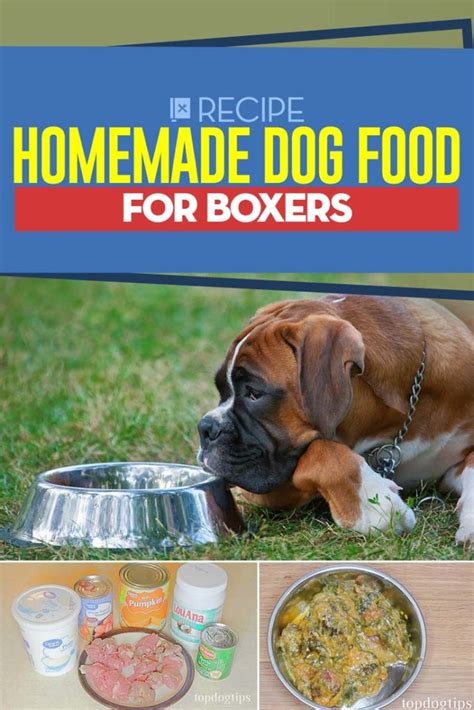 Homemade Food for Boxer Dogs Dogs Value