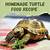 homemade turtle food