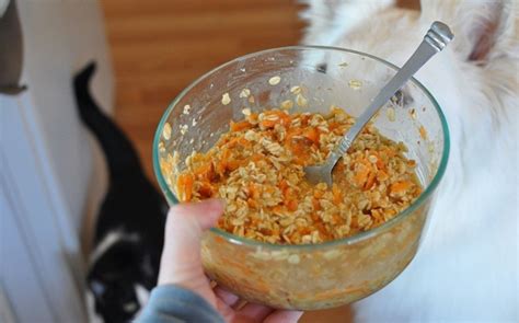 Homemade Cat Kibble