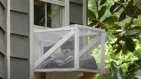 Homemade Cat Window Box