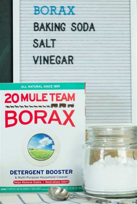 Homemade Dishwasher Detergent Borax