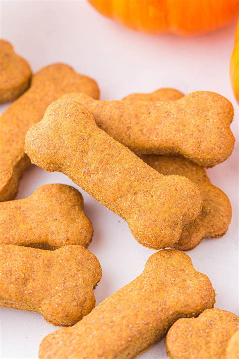 homemade dog treats made with pumpkin recipes