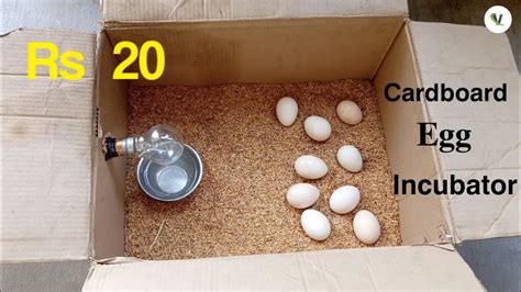 Homemade Egg Hatching Incubator