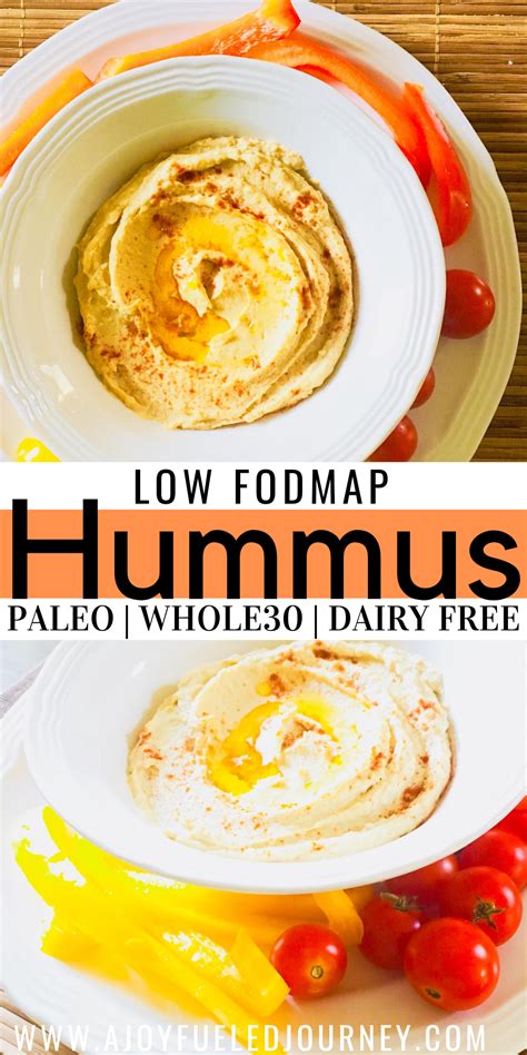 Homemade Hummus Fodmap