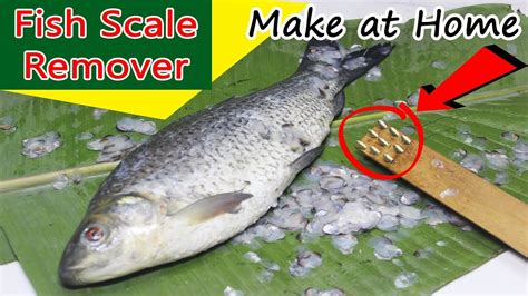 Homemade Scale Remover
