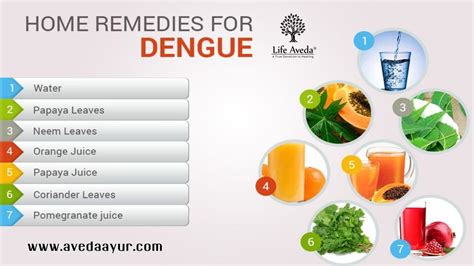 homemade treatment for dengue fever