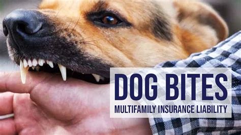 homeowners liability insurance dog bites