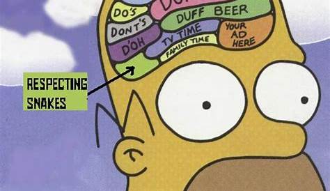 Homer Simpson says stupid things Blank Template - Imgflip
