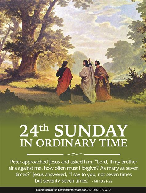 homily of the sunday