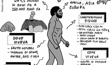 Infografiche e schede stampabili per la scuola primaria: l’Homo Erectus