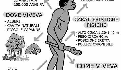 Pin di Maria Antonia su evoluzione uomo | Storia, Insegnare storia