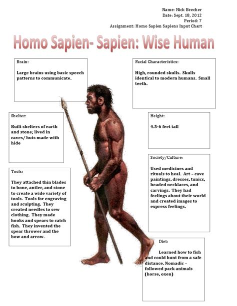 homo sapiens sapiens characteristics