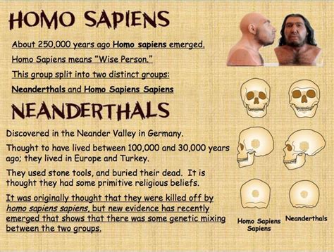 homo sapiens sapiens vs homo sapiens