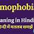 homophobe meaning in hindi