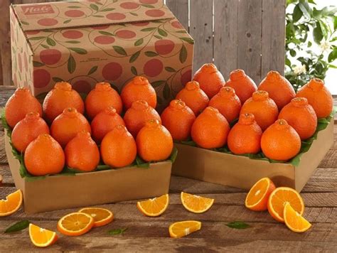 Honey Bell Oranges In Indiana Now Available By Truck For Sale
