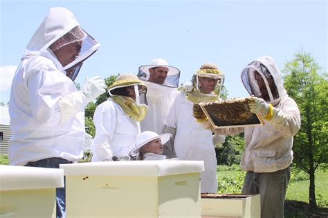 honey bee association near me