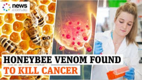 honey bee venom kills breast cancer cells