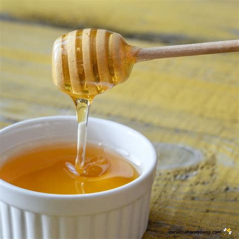 Honey Dipper Synonym