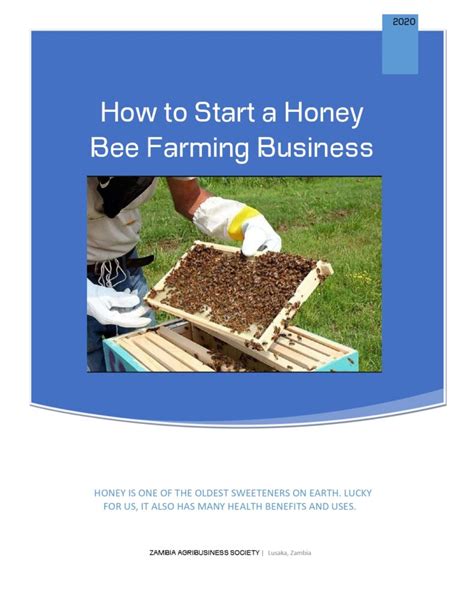 Honey Farming Cost