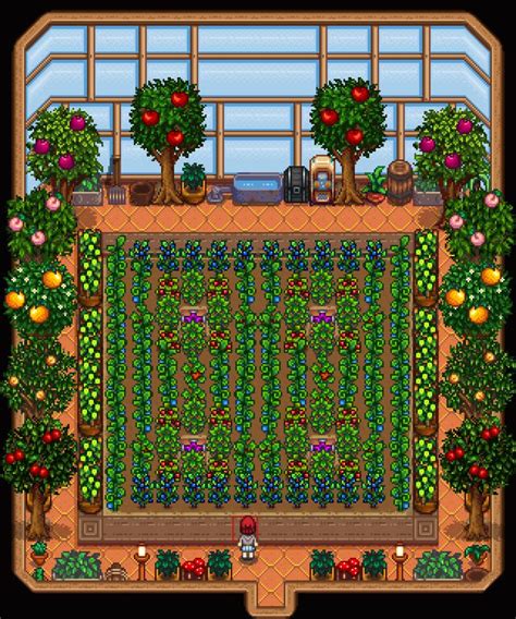 The satisfaction of seeing your greenhouse complete. StardewValley