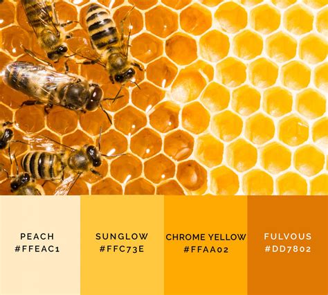 Honeycomb Colors