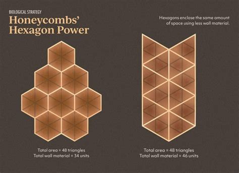 Honeycomb Shape Name