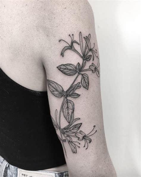 Revolutionary Honeysuckle Flower Tattoo Designs 2023